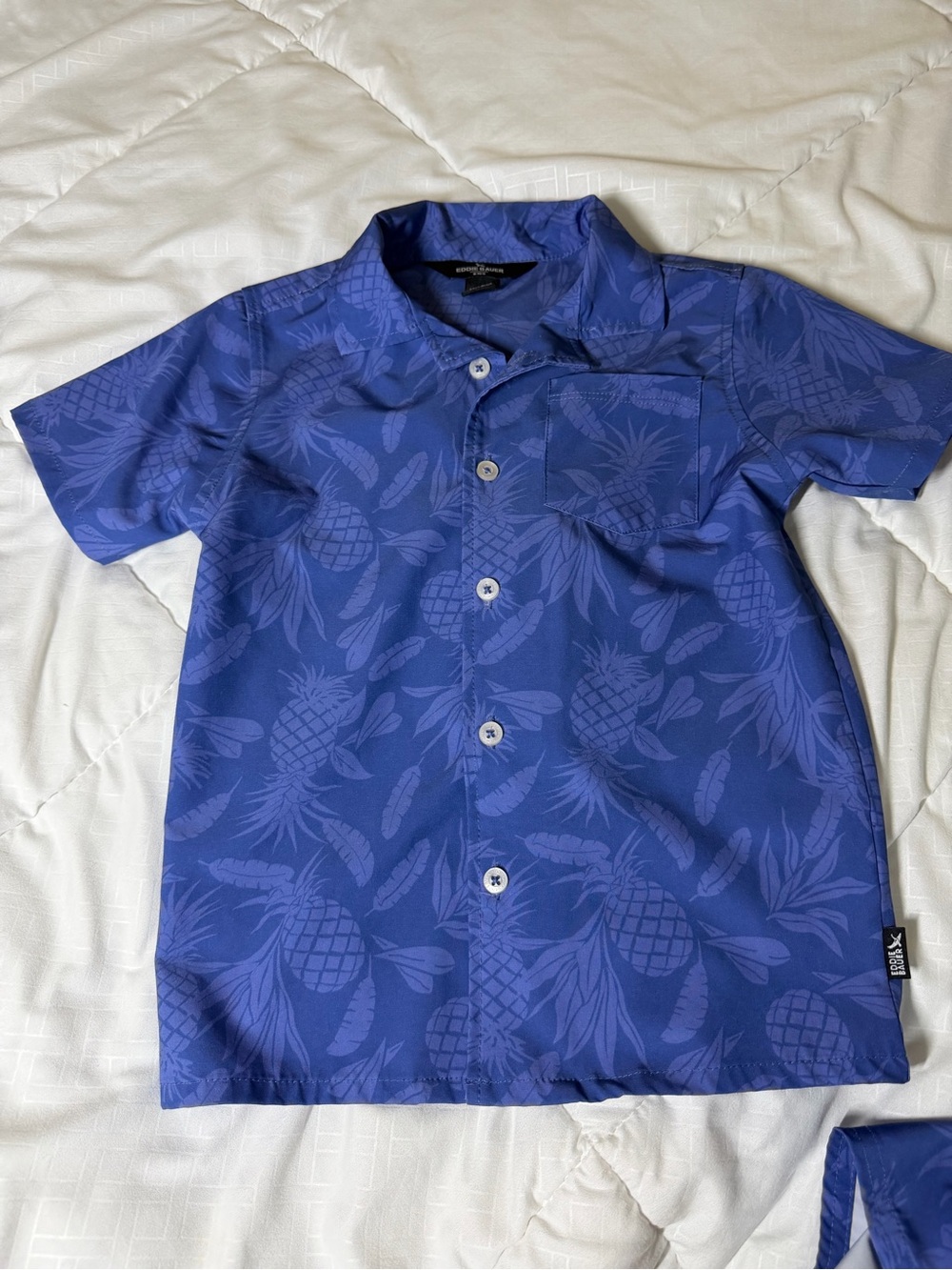 Kids Blue Pineapple-Print Button Set